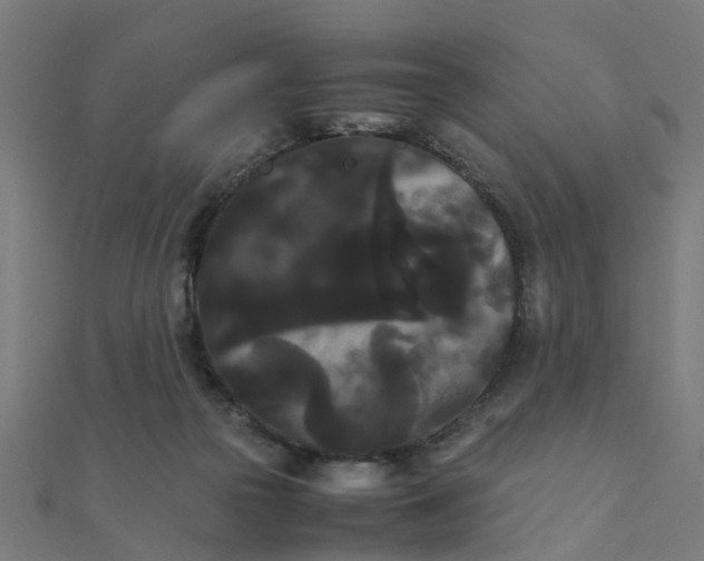 X0000111230169200907301253