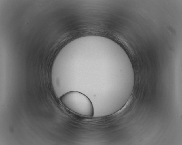 X0000111230170200907301253