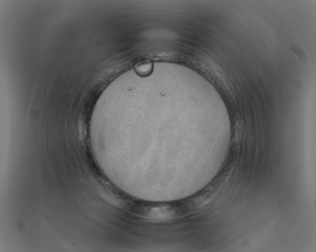 X0000111230173200907301253