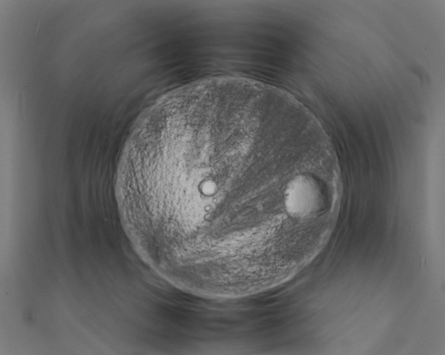 X0000111230175200907301253