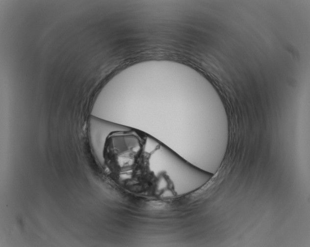 X0000111230176200907301253