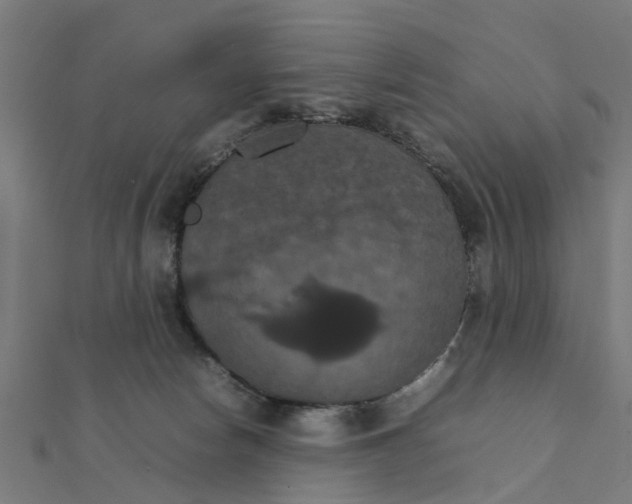 X0000111230178200907301253