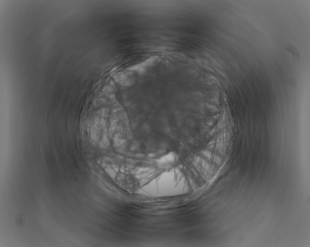 X0000111230179200907301253