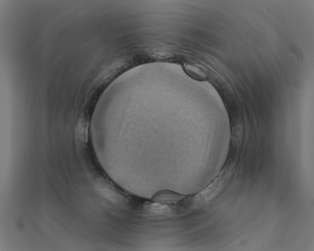 X0000111230180200907301253
