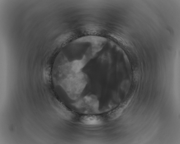 X0000111230181200907301253
