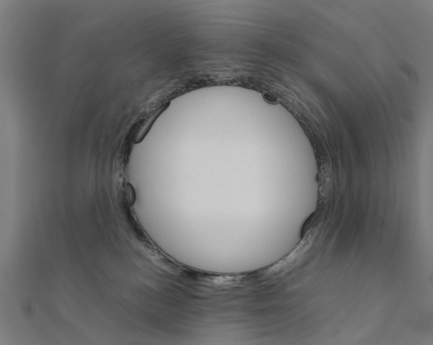 X0000111230184200907301253