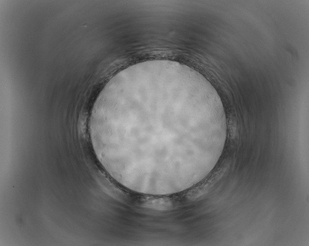 X0000111230185200907301253