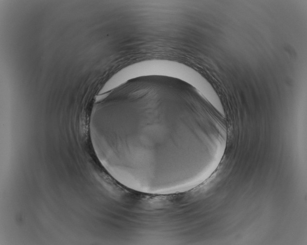 X0000111230186200907301253
