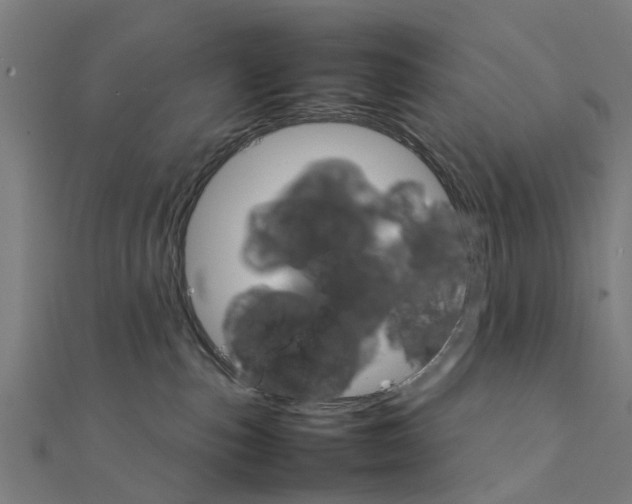 X0000111230187200907301253