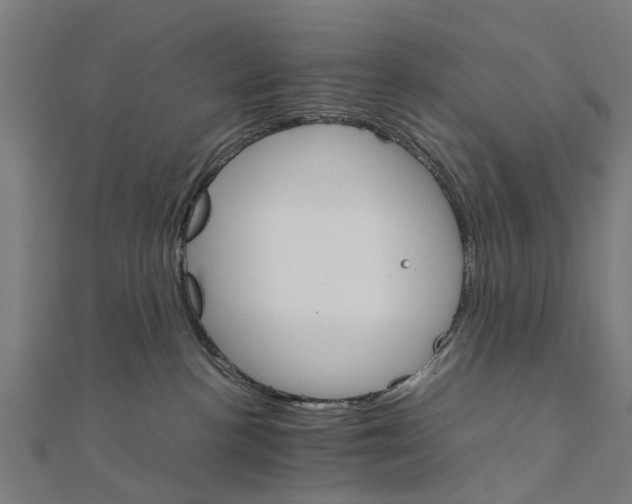 X0000111230188200907301253