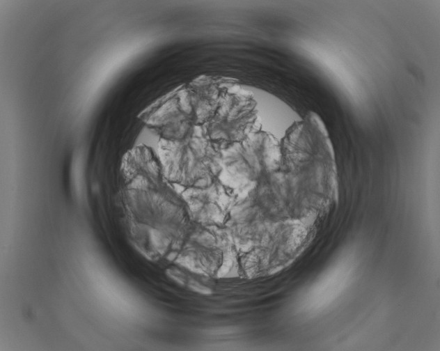 X0000111230189200907301253