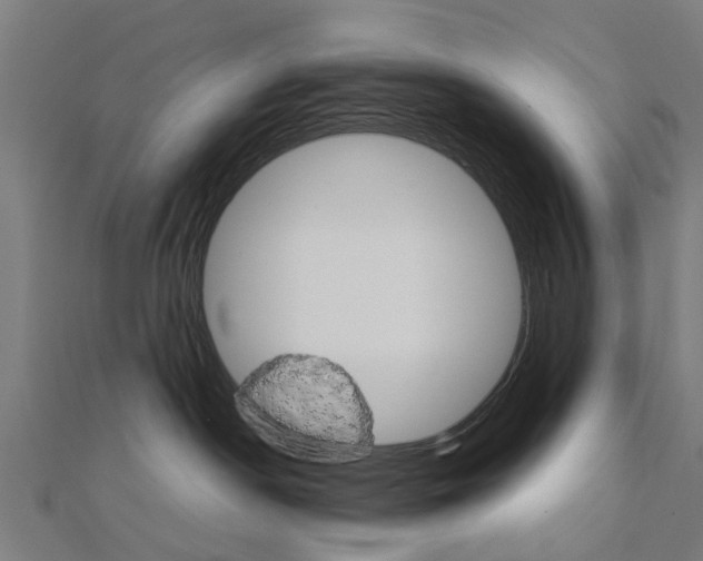 X0000111230190200907301253