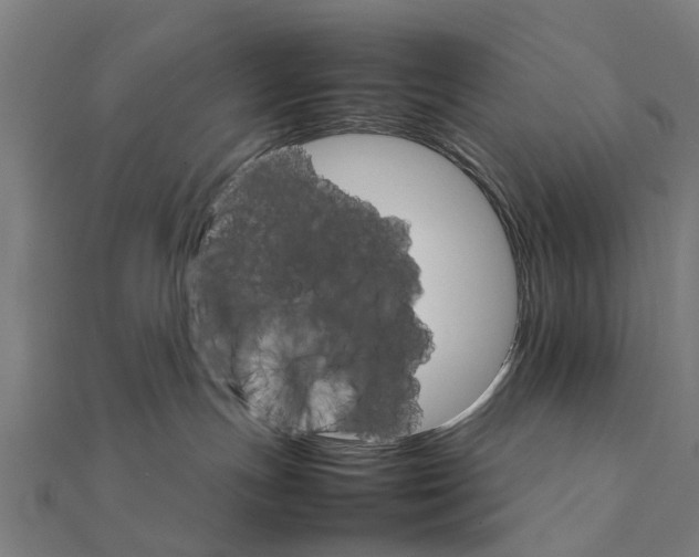X0000111230191200907301253