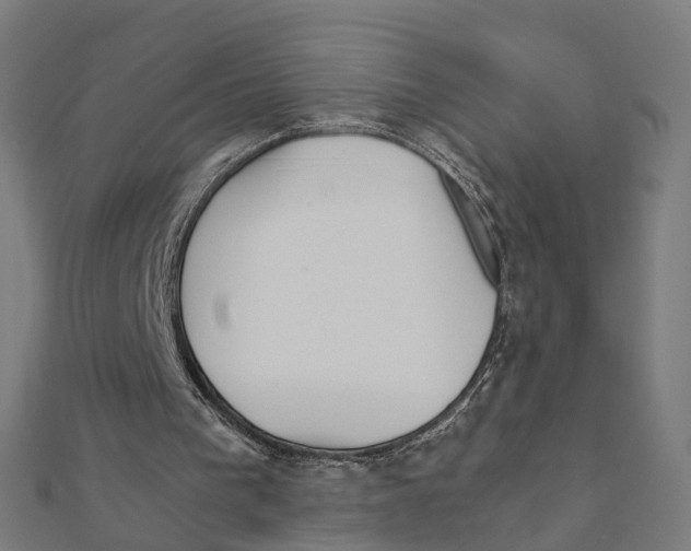 X0000111230193200907301253