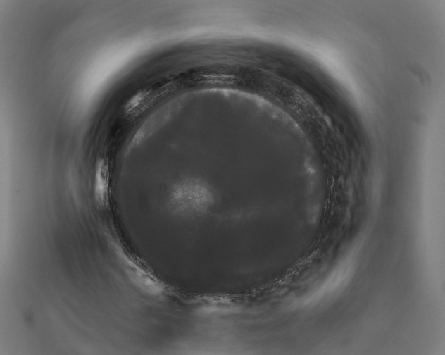 X0000111230194200907301253