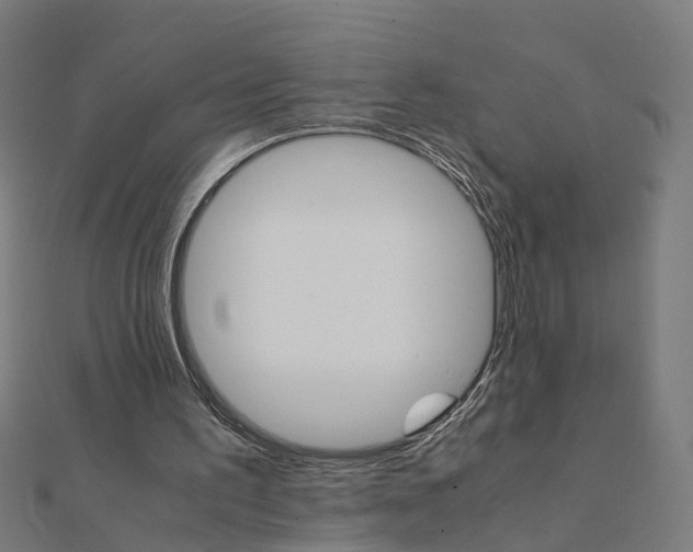 X0000111230195200907301253