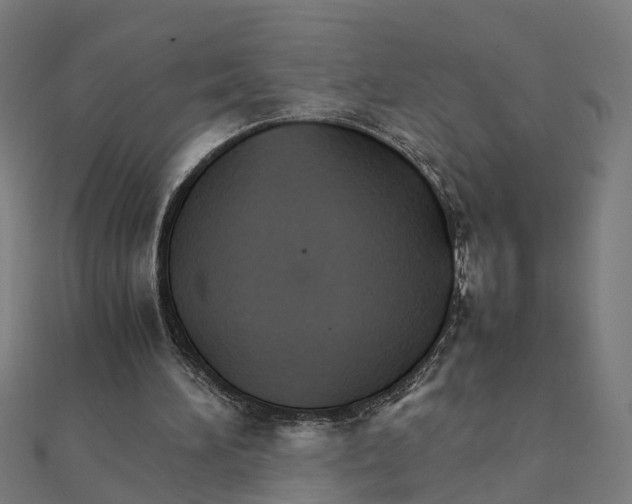 X0000111230196200907301253