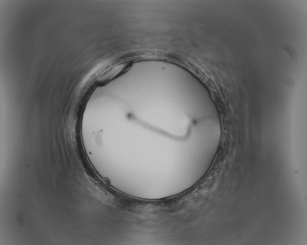 X0000111230197200907301253