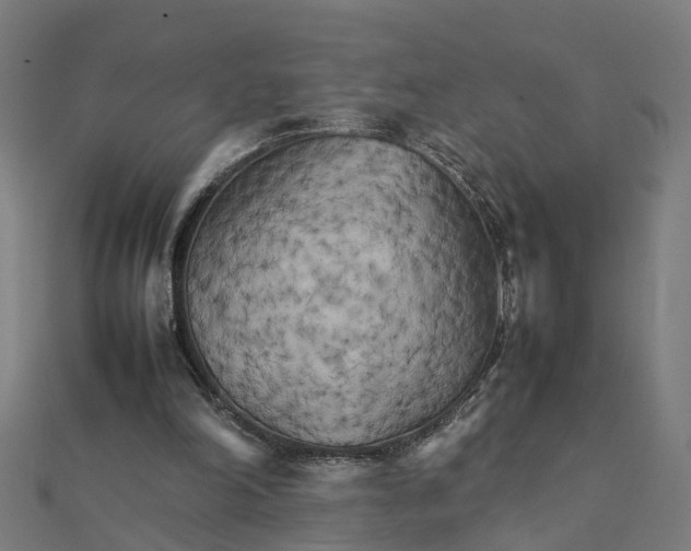 X0000111230198200907301253