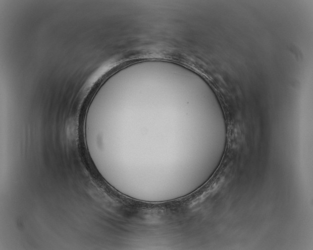 X0000111230200200907301253