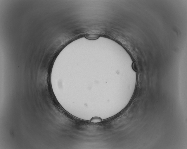X0000111230201200907301253