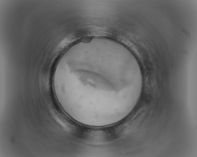 X0000111230203200907301253