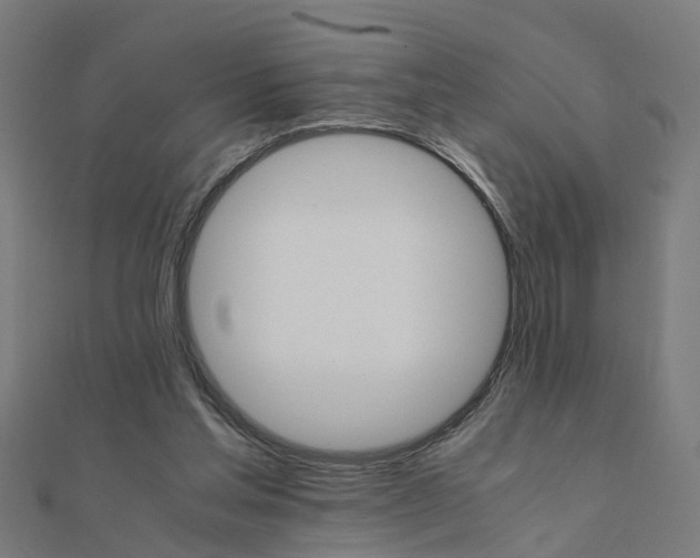 X0000111230205200907301253