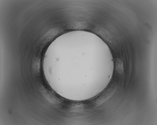 X0000111230206200907301253