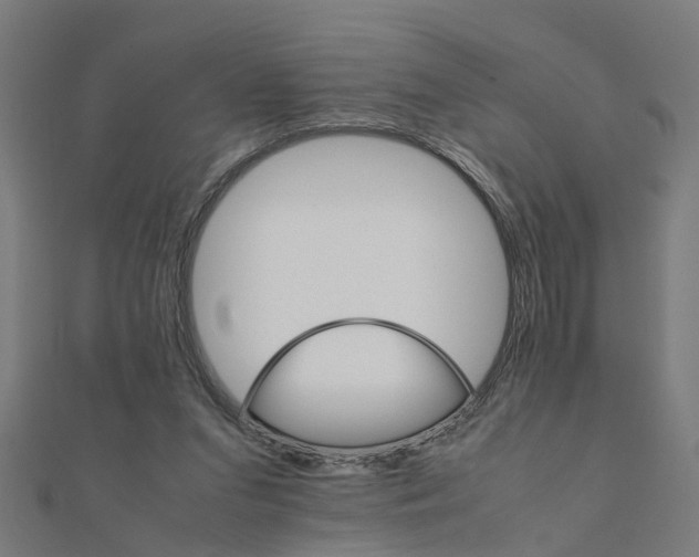 X0000111230207200907301253