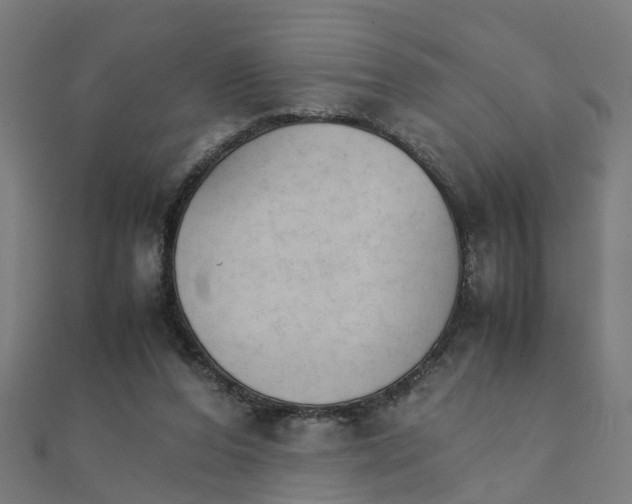 X0000111230208200907301253