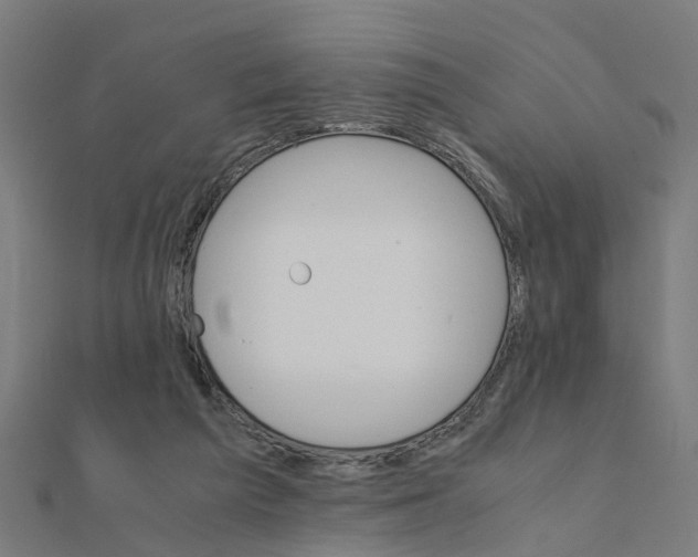 X0000111230209200907301253