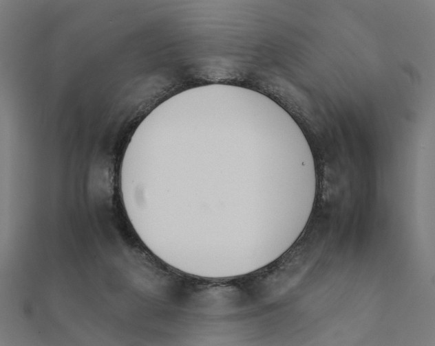 X0000111230210200907301253