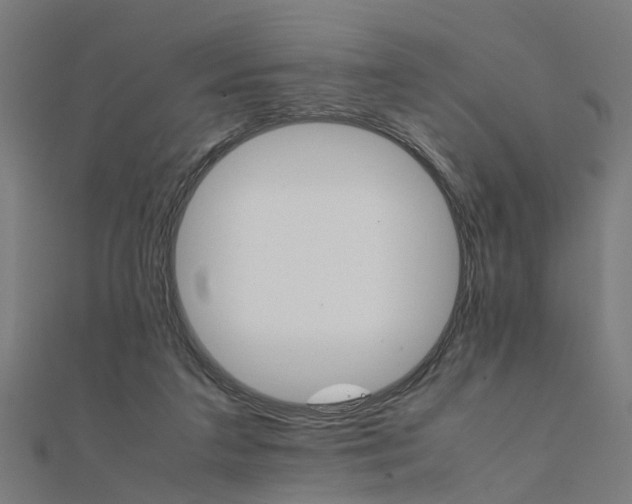 X0000111230211200907301253