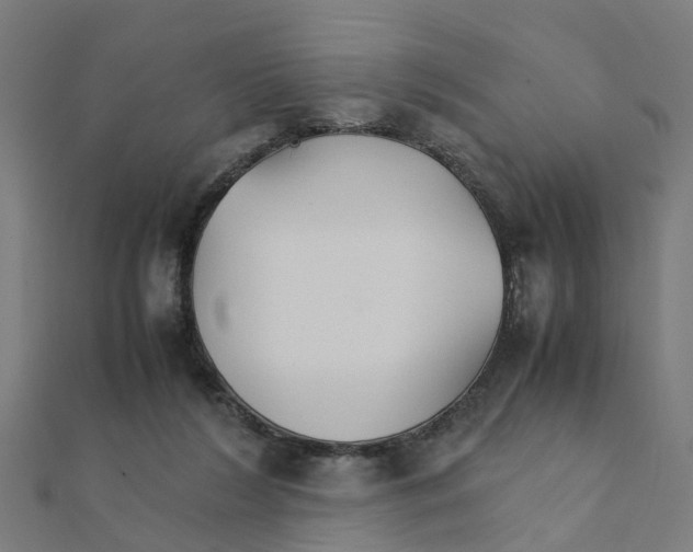 X0000111230212200907301253