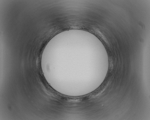 X0000111230213200907301253