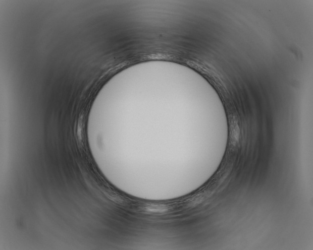 X0000111230214200907301253