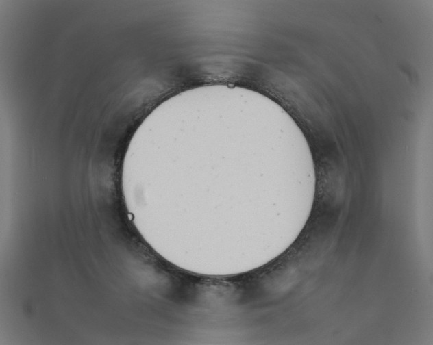 X0000111230215200907301252