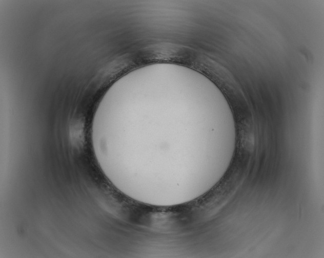 X0000111230216200907301252
