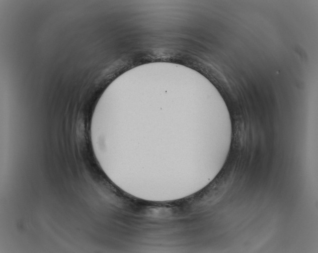X0000111230220200907301252