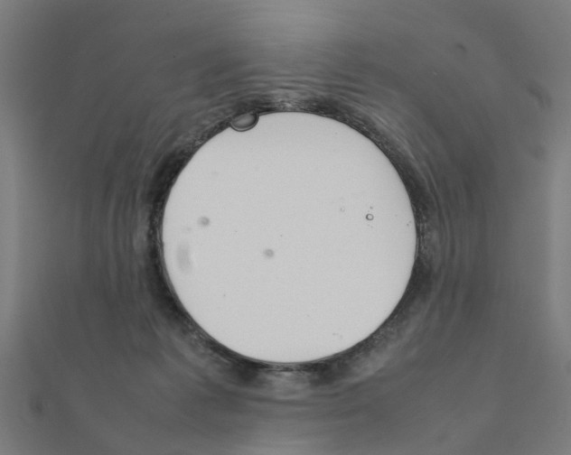 X0000111230221200907301252