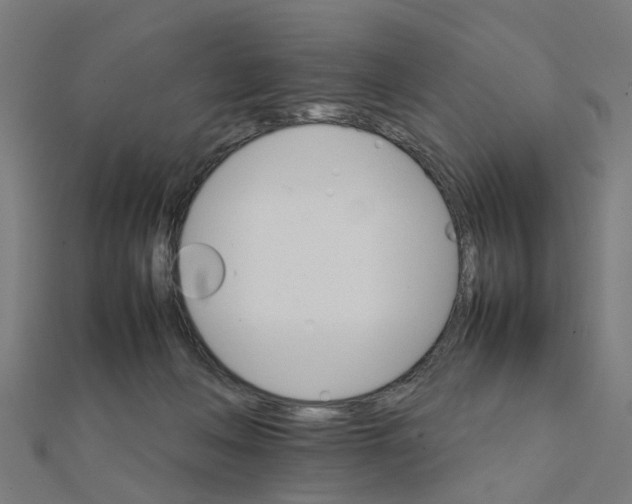 X0000111230222200907301252