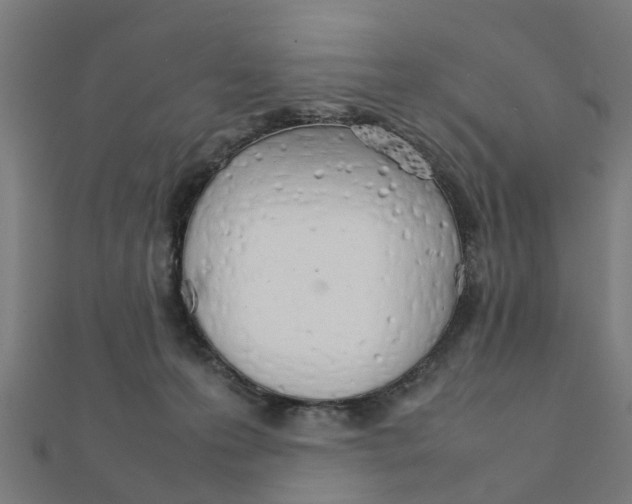 X0000111230223200907301252