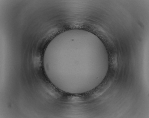 X0000111230224200907301252