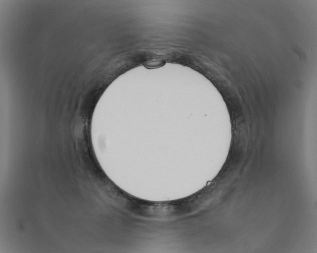 X0000111230225200907301252