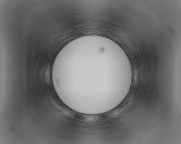 X0000111230226200907301252