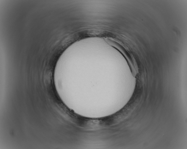 X0000111230227200907301252