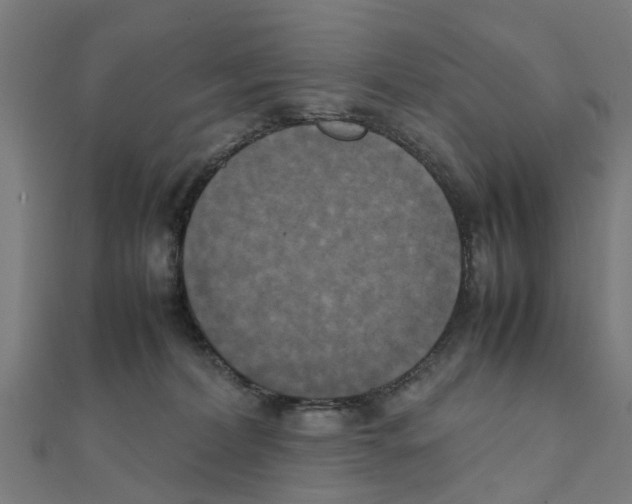 X0000111230228200907301252
