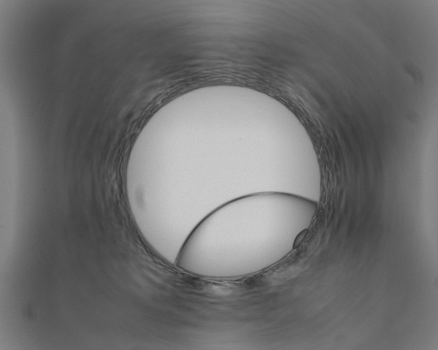 X0000111230229200907301252