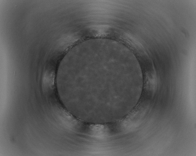 X0000111230230200907301252