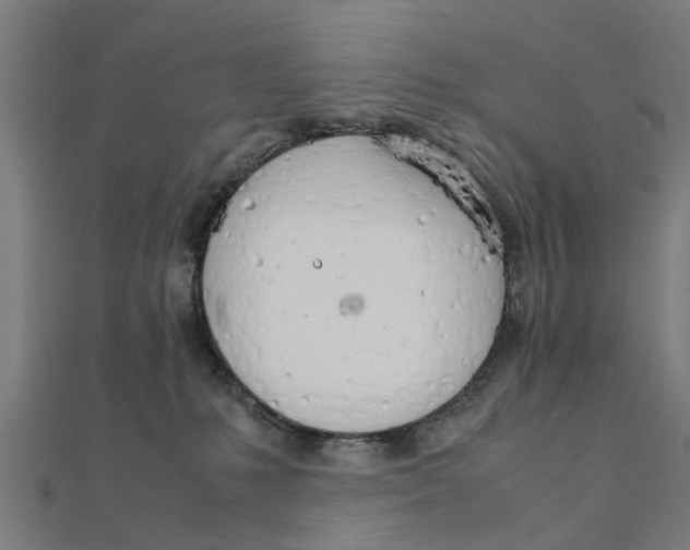 X0000111230231200907301252